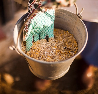 Vinayak team presentation at event